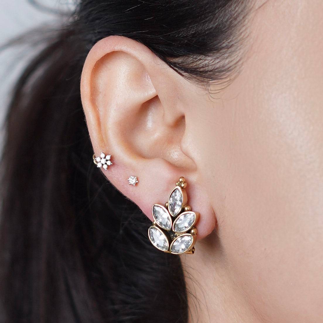 Brass Fashion Earrings