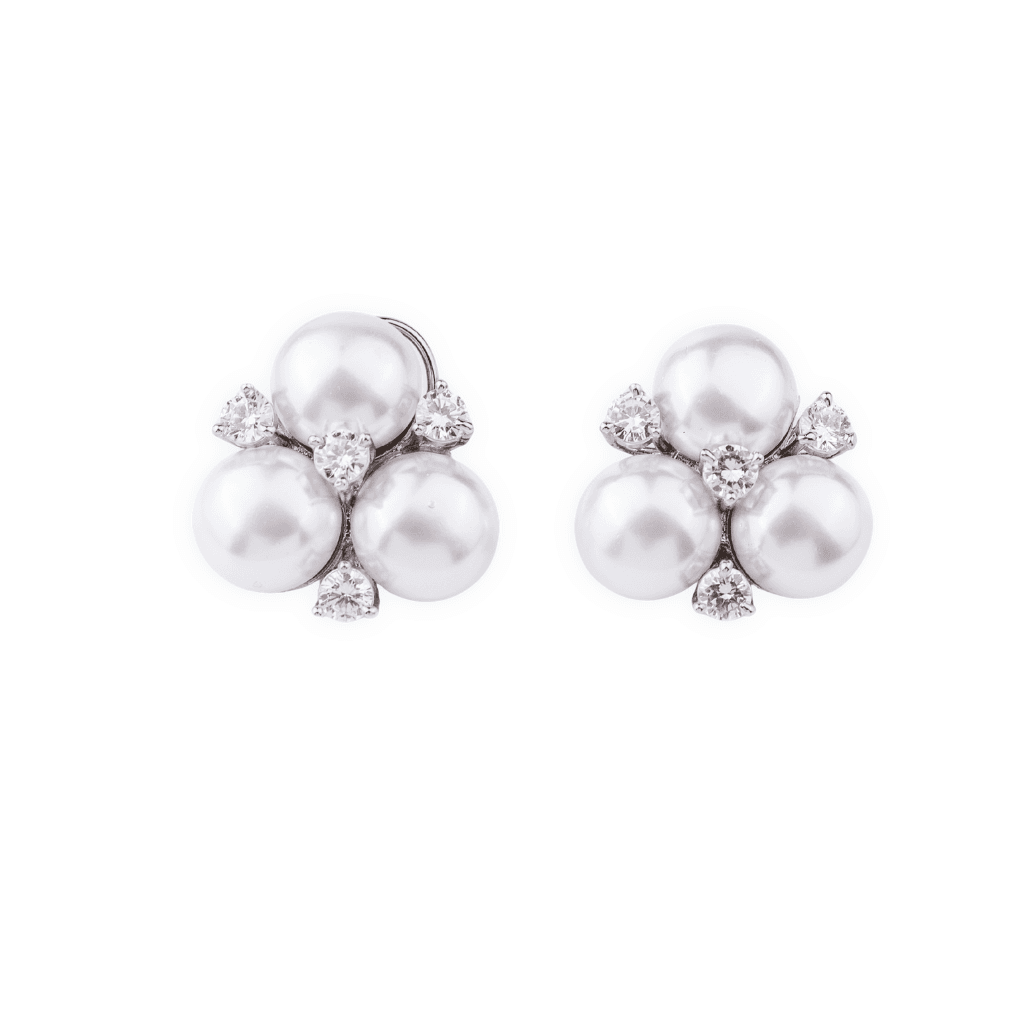 Silver Finish Fashion Earrings