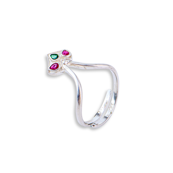 Silver Nakshatra Ring