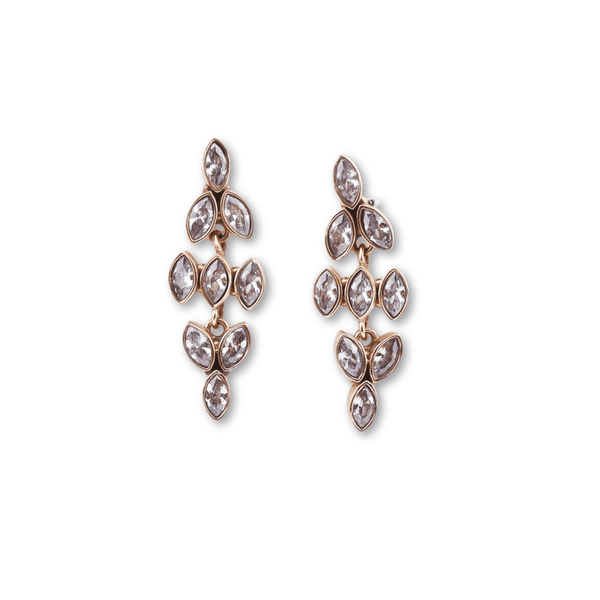 Brass Fashion Earrings