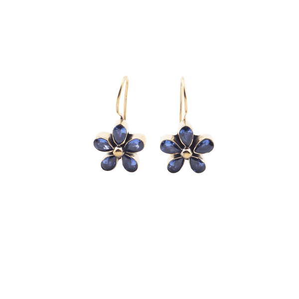 Brass Fashion Earrings