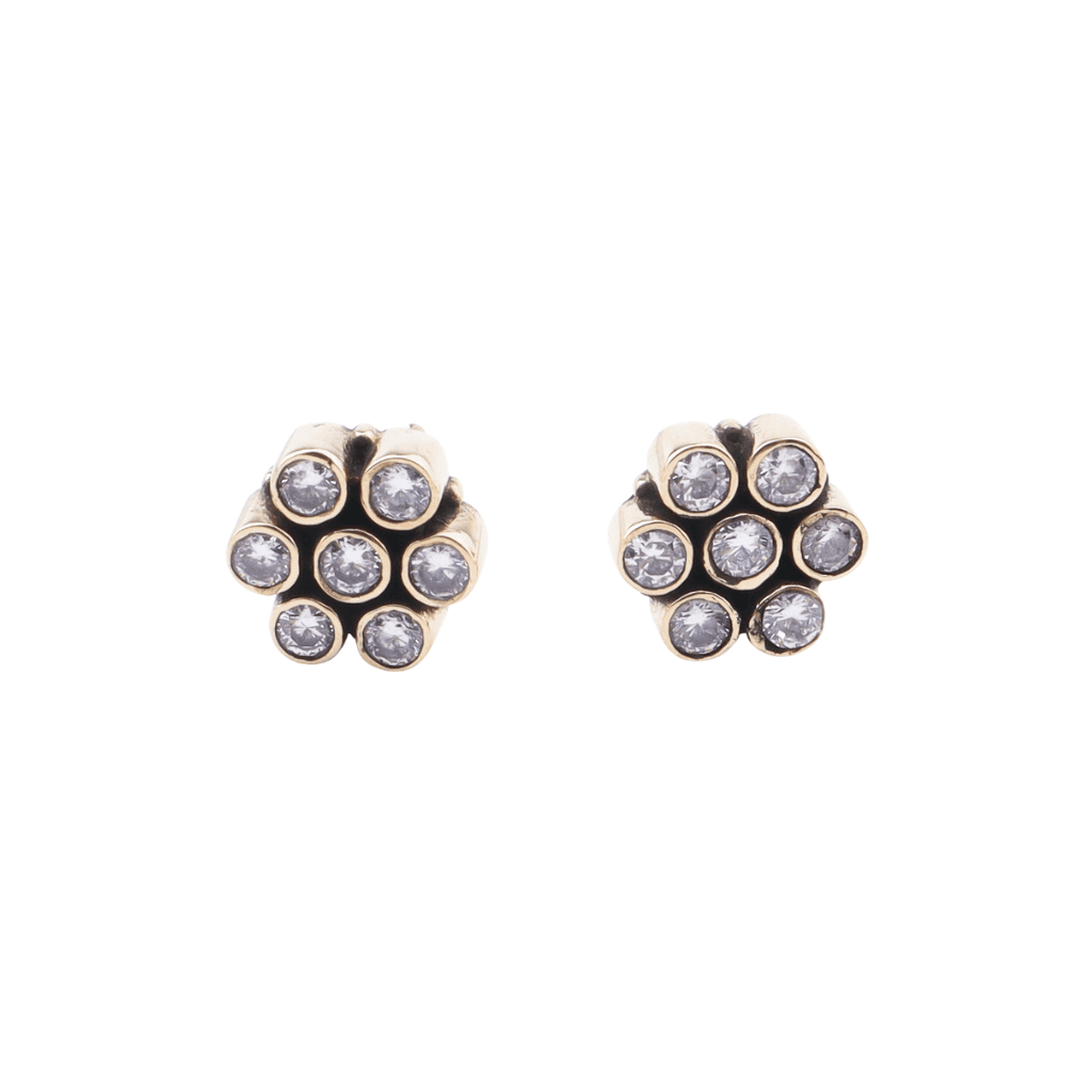 Brass Fashion Earrings