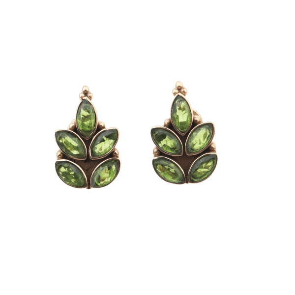 Brass Fashion Earrings