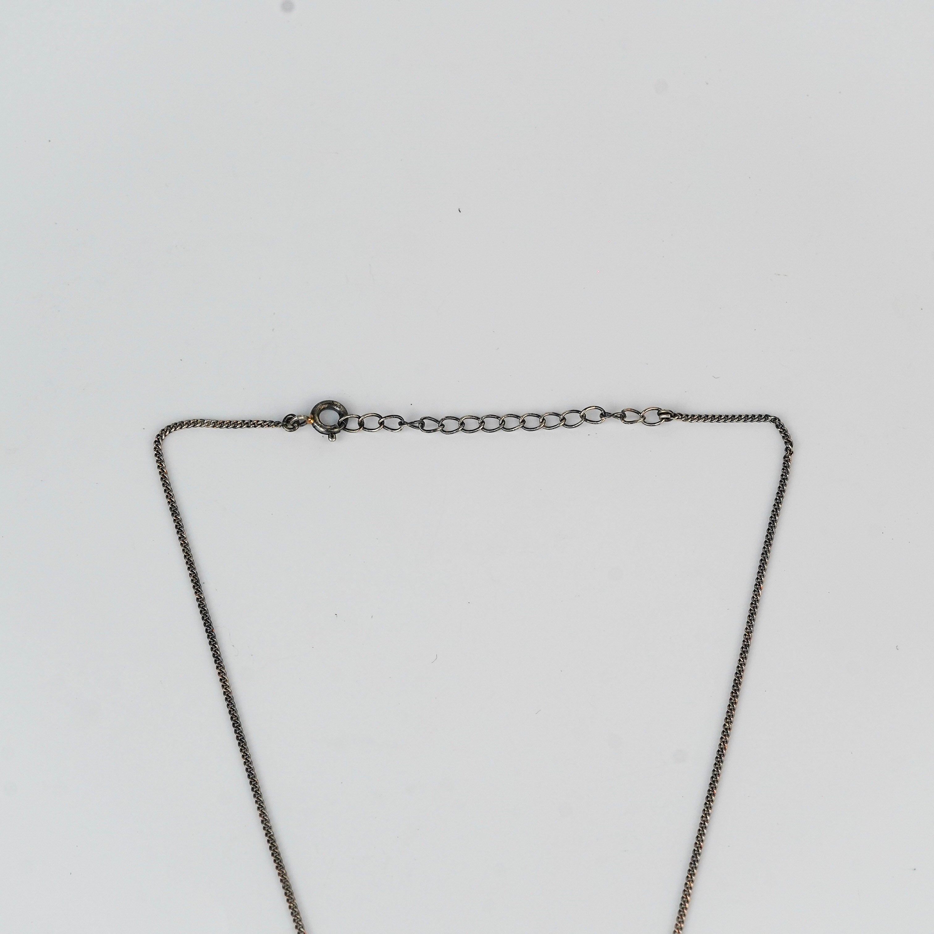 Silver lion pendant necklace on white background