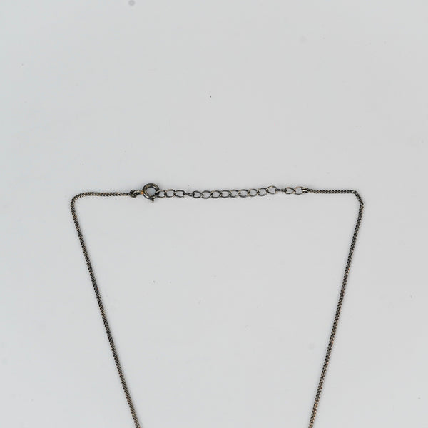 Silver lion pendant necklace on white background