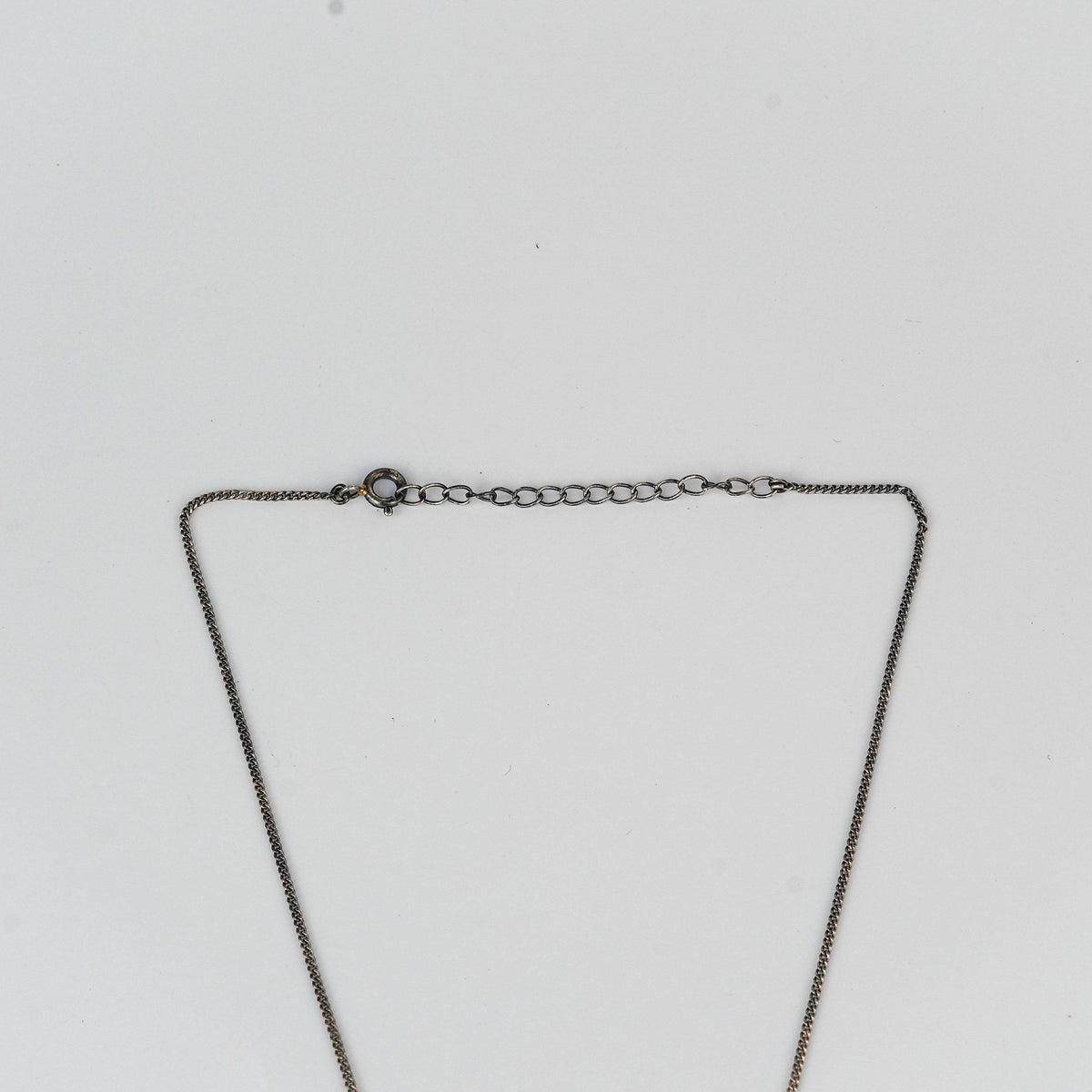 Silver lion pendant necklace on white background