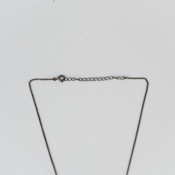 Silver lion pendant necklace on white background