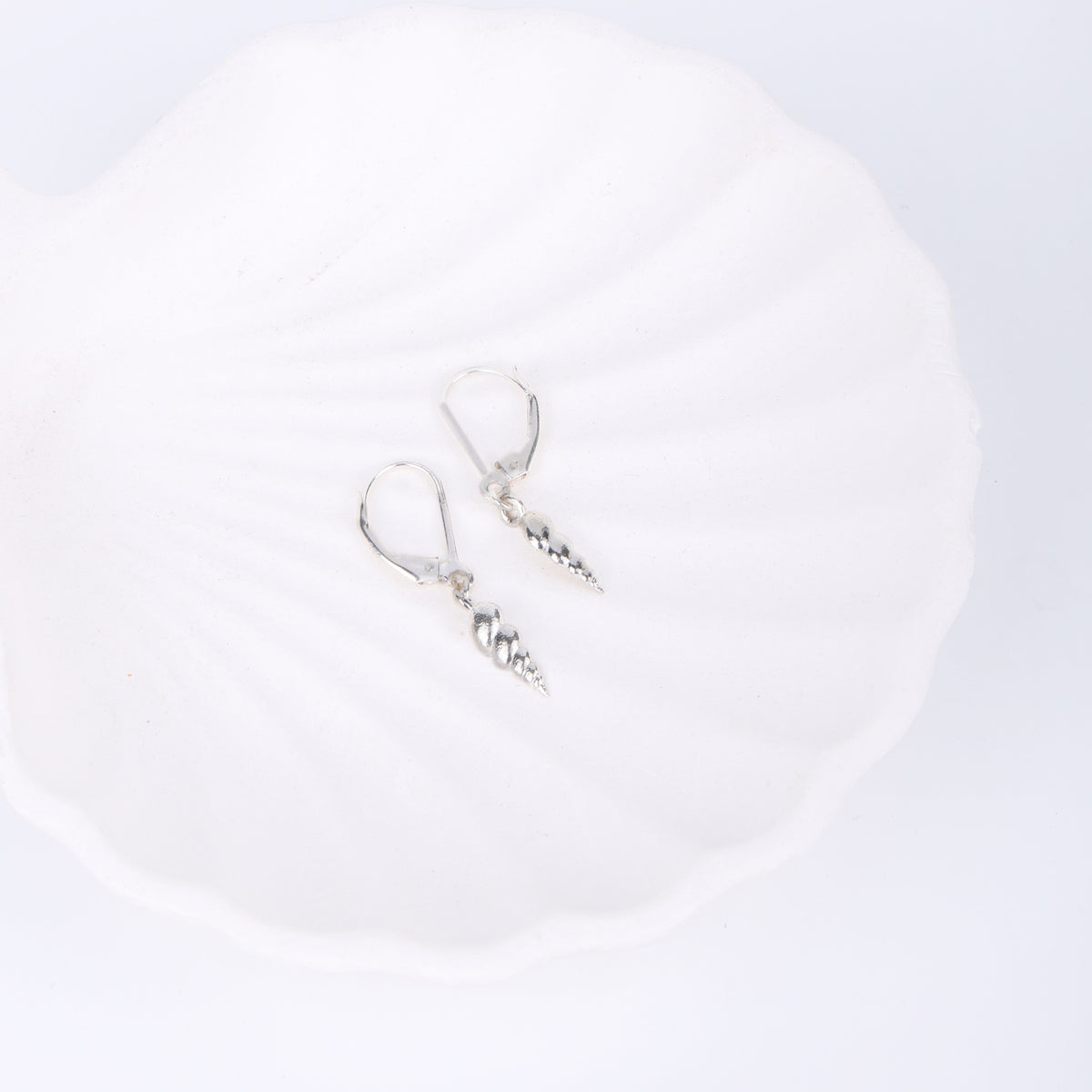 Silver Auger Shell Earrings