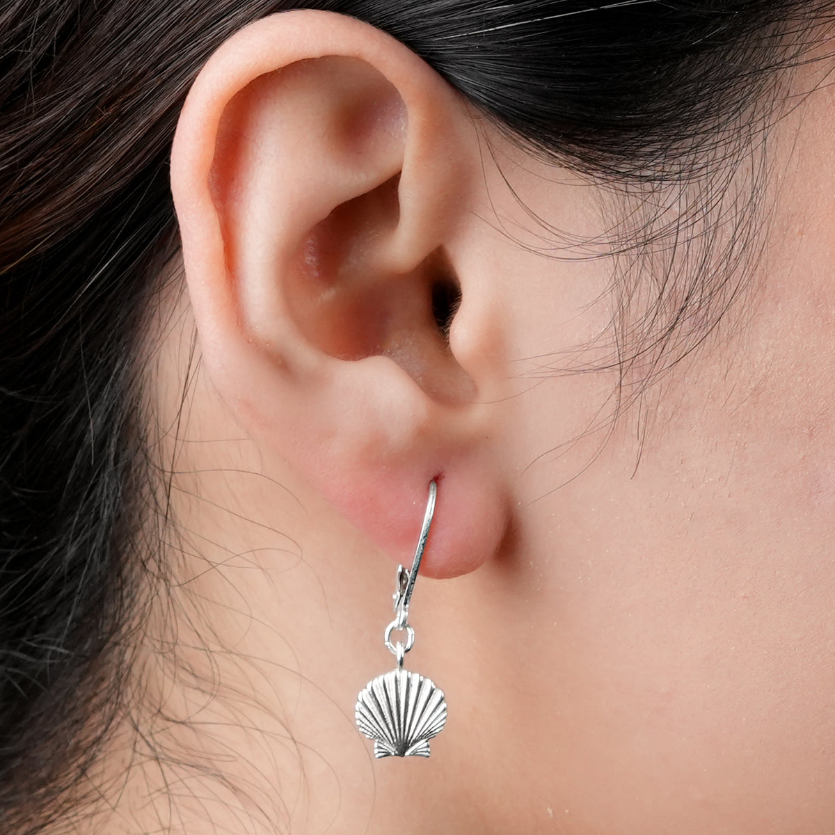 Silver Shell Earrings