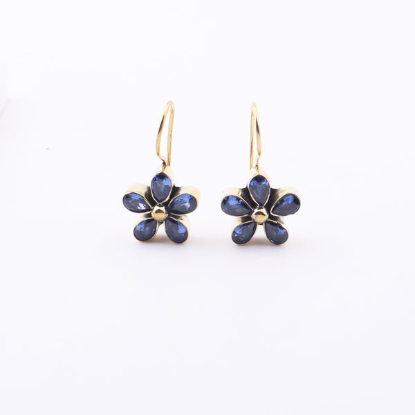 Brass Fashion Earrings