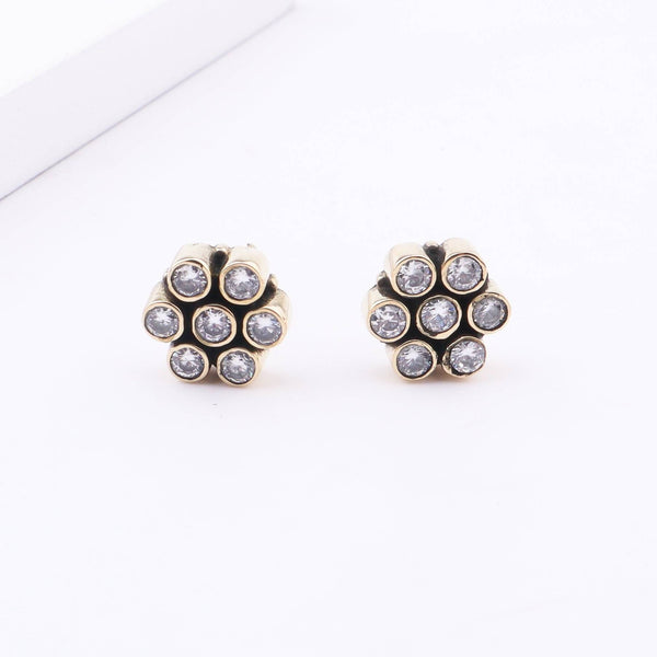 Brass Fashion Earrings