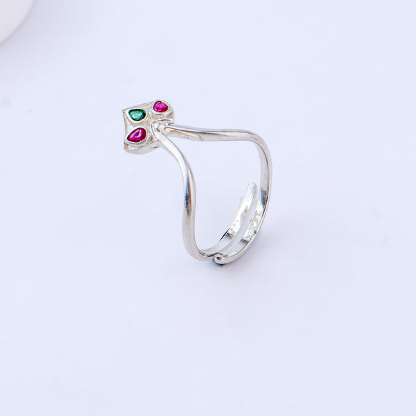 Silver Nakshatra Ring
