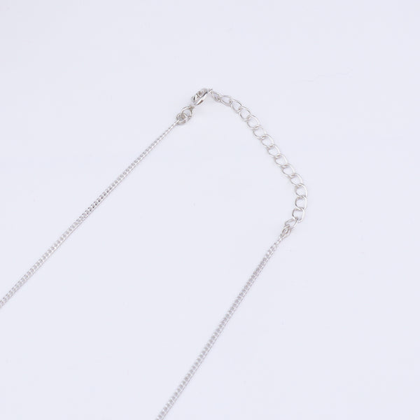 Silver necklace with coin pearls