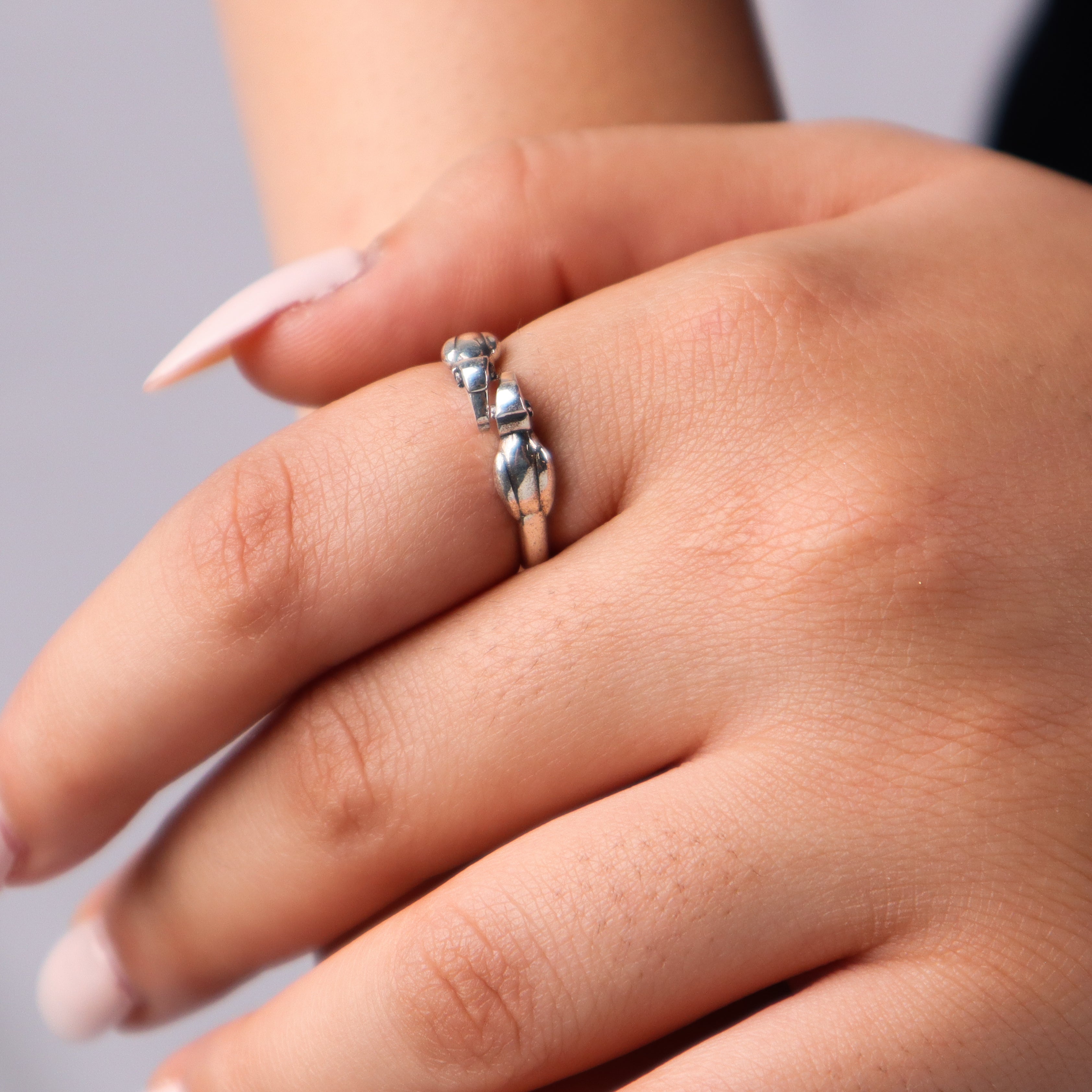Silver Hornbill unisex ring