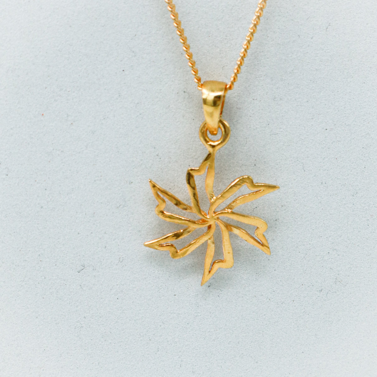 Prajakta Charm Necklace (Gold Plated)
