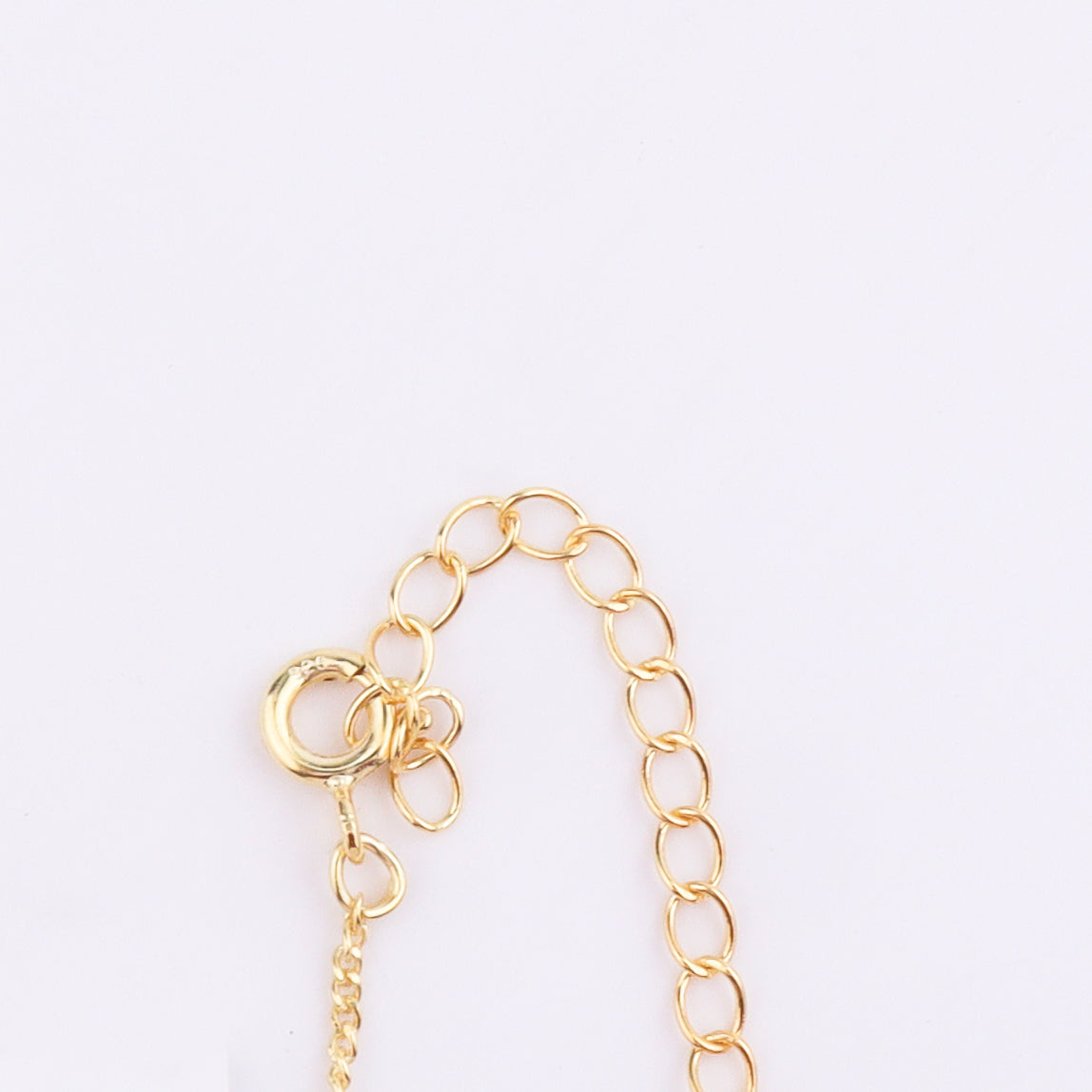 Gold chain necklace with clasp