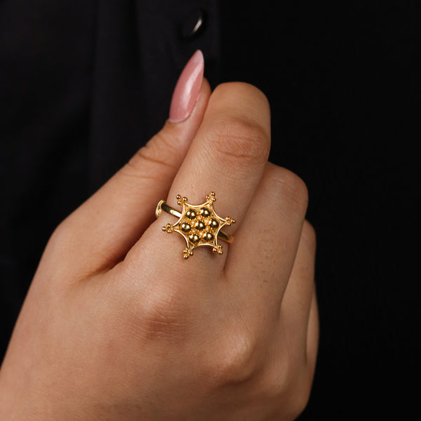 Silver Kudi Nakshatra Ring| 92.5 Silver | 22K Gold Plated