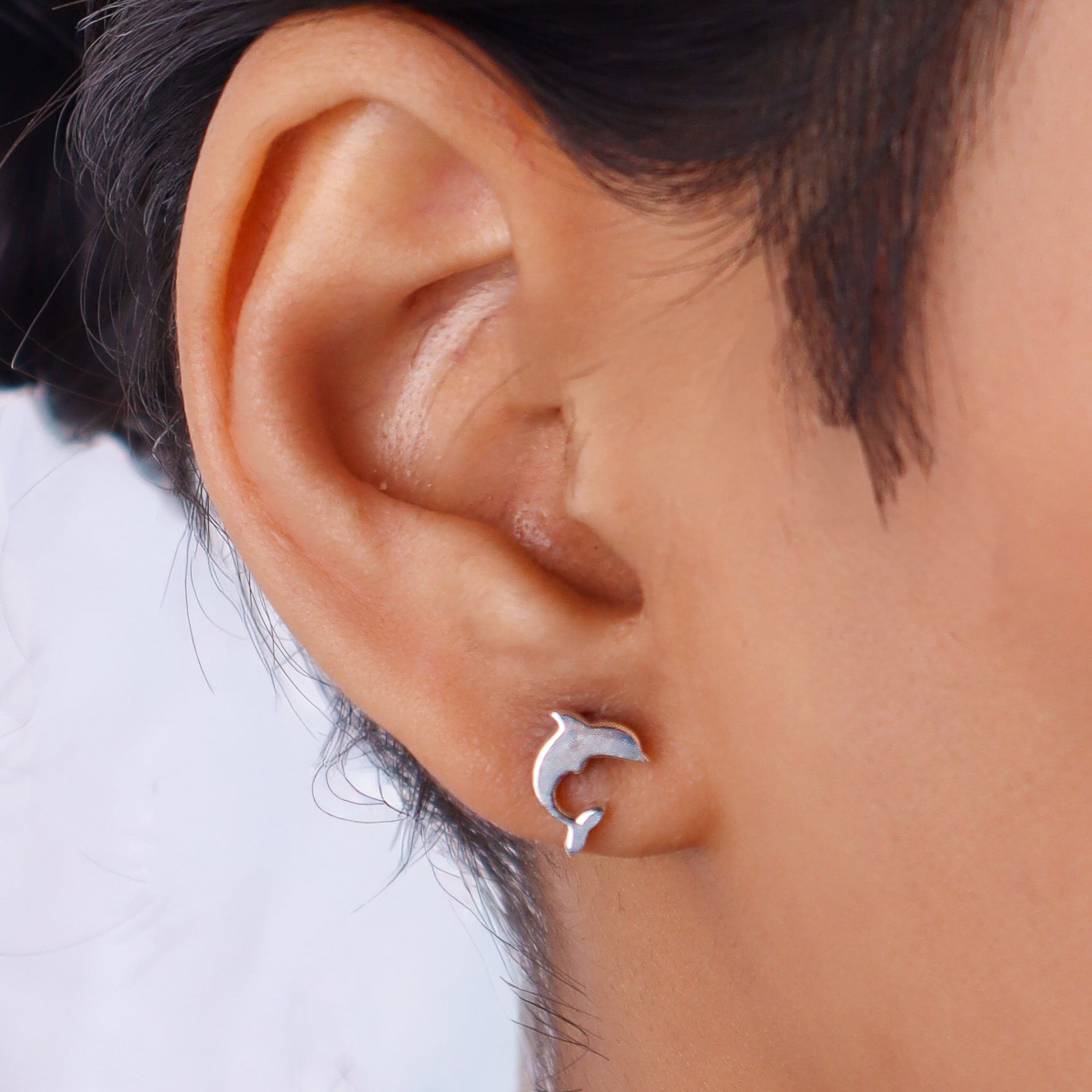 Silver Dolphin Studs