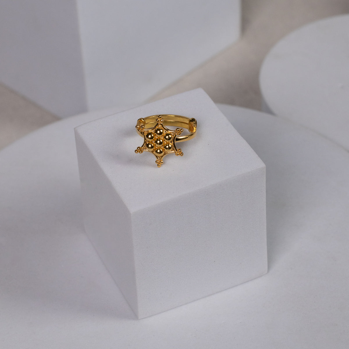 Silver Kudi Nakshatra Ring| 92.5 Silver | 22K Gold Plated