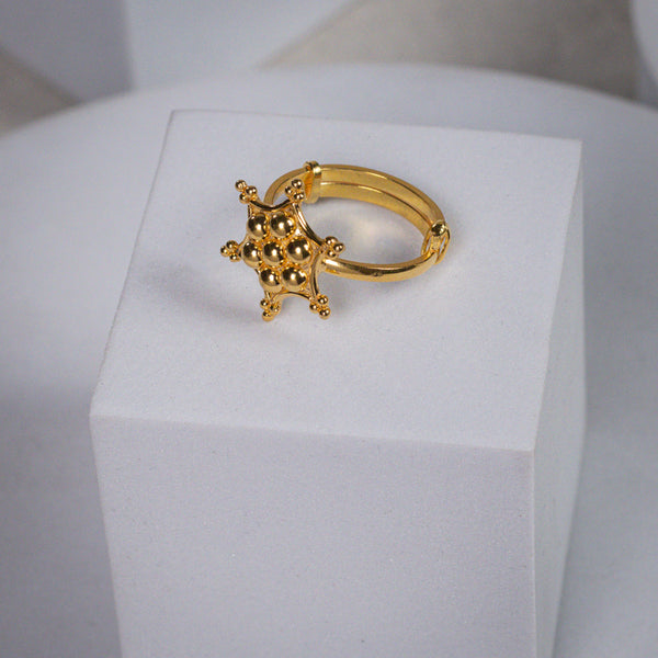 Silver Kudi Nakshatra Ring| 92.5 Silver | 22K Gold Plated