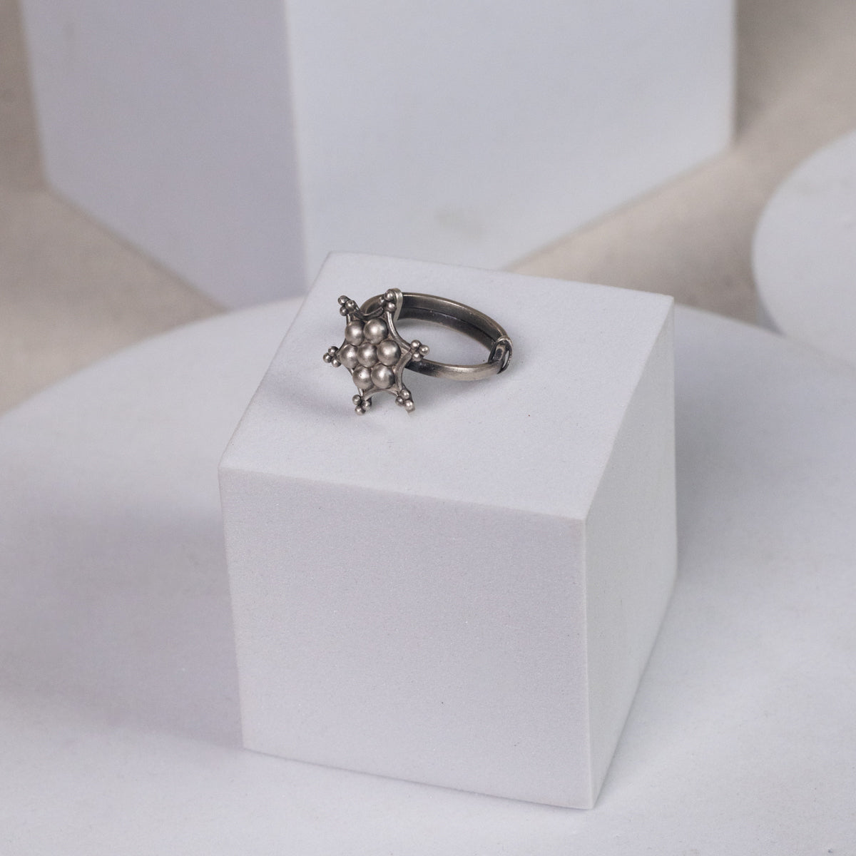 Silver Kudi Nakshatra Ring