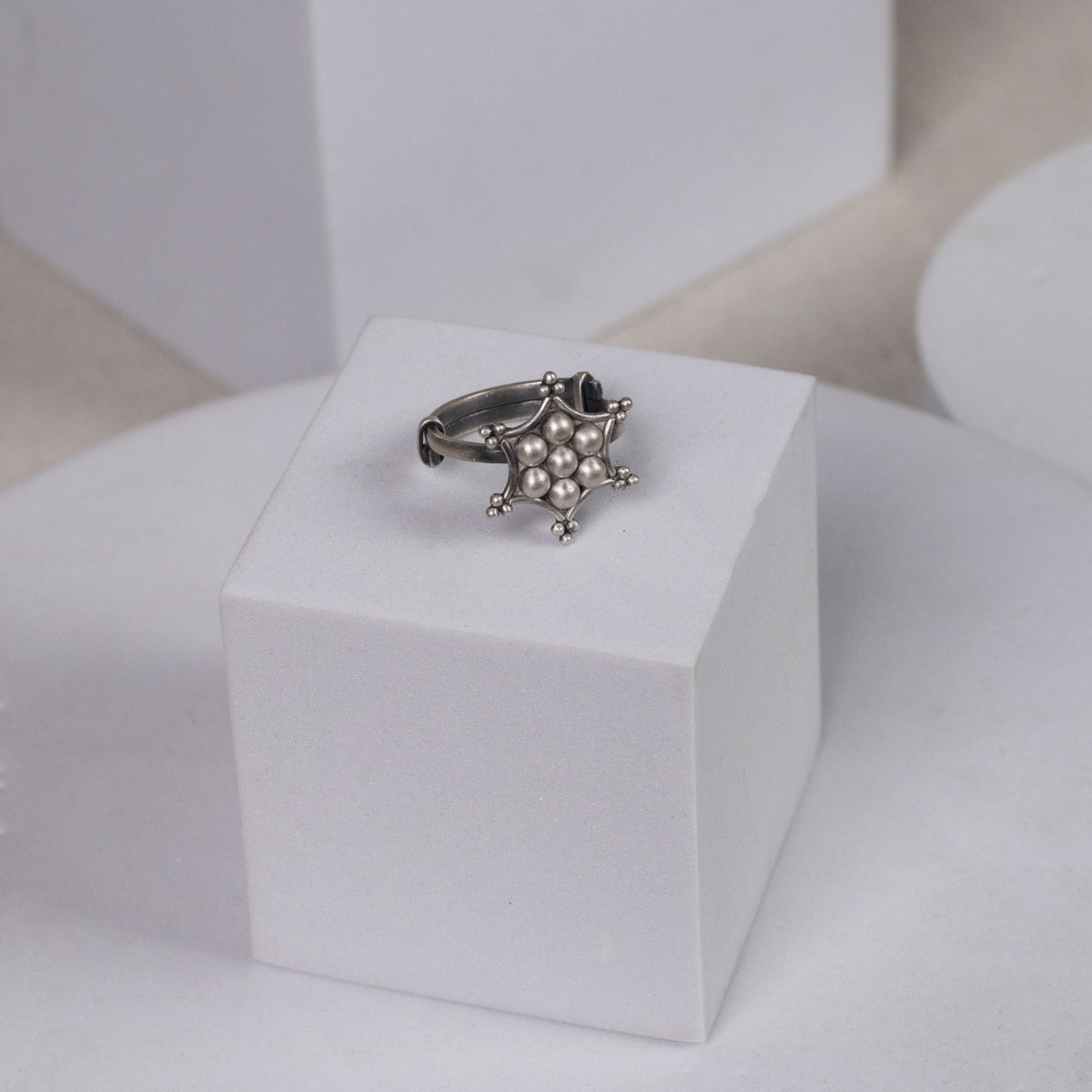 Silver Kudi Nakshatra Ring