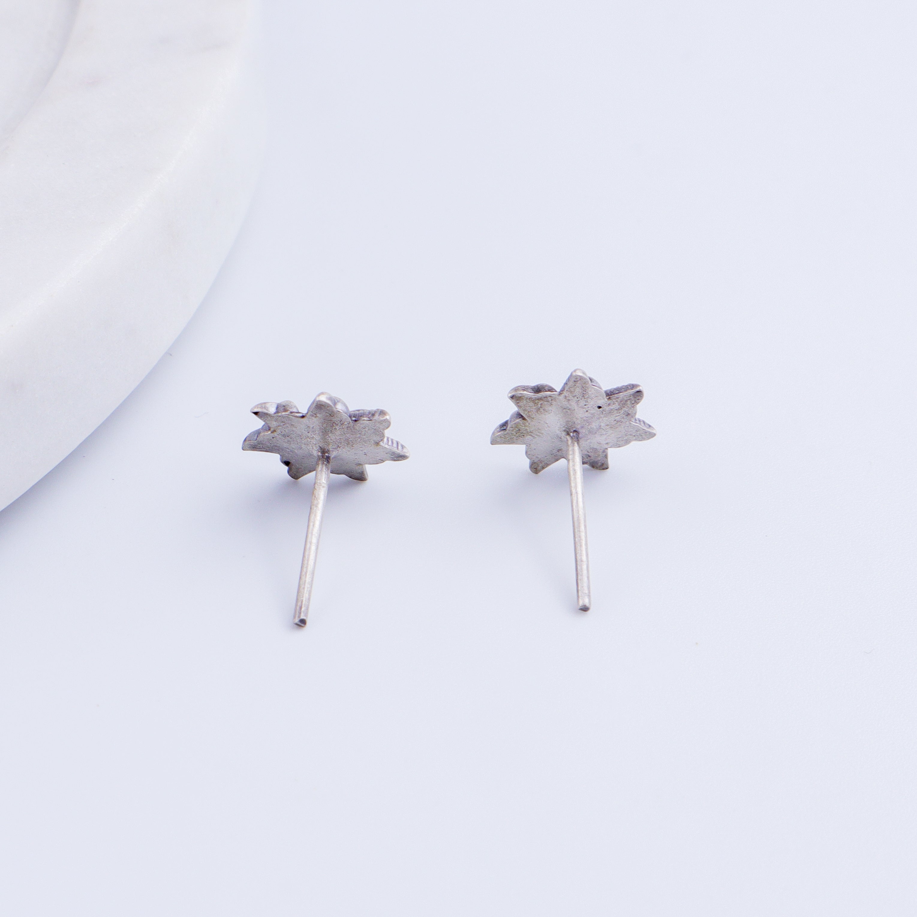 Prajakta Studs