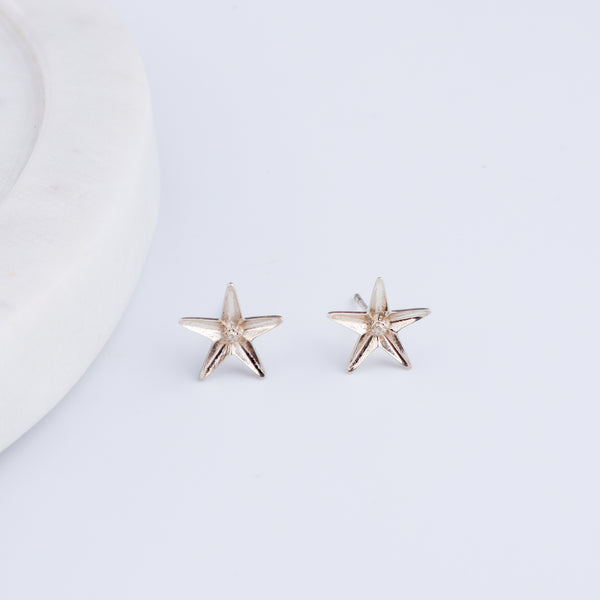 Raat Rani Silver Earring
