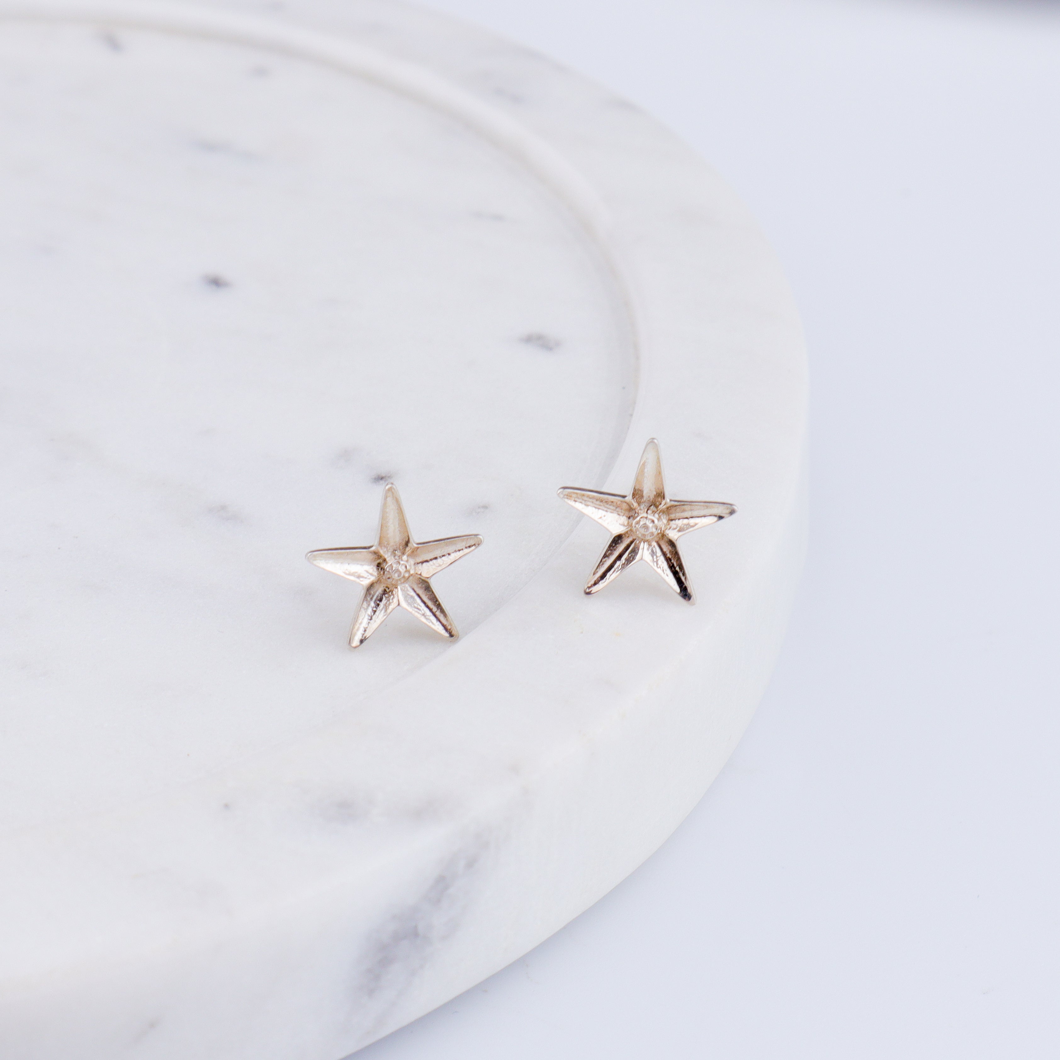 Raat Rani Silver Earring