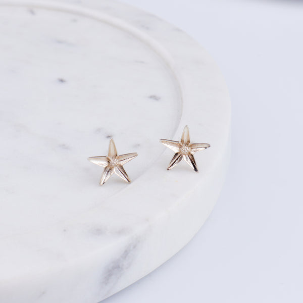 Raat Rani Silver Earring