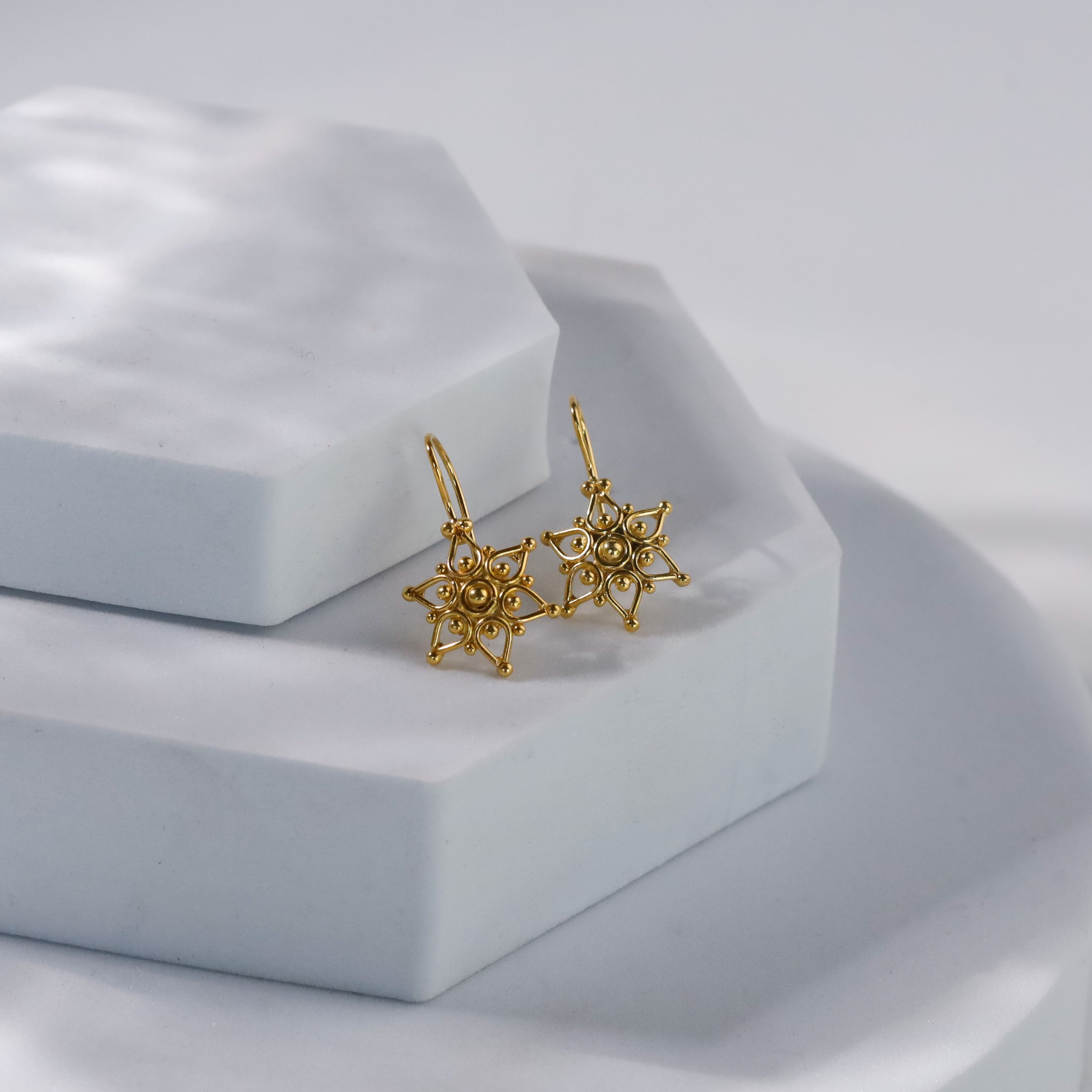 Delicate Drops Set |  92.5 Silver | 22K Gold Plated