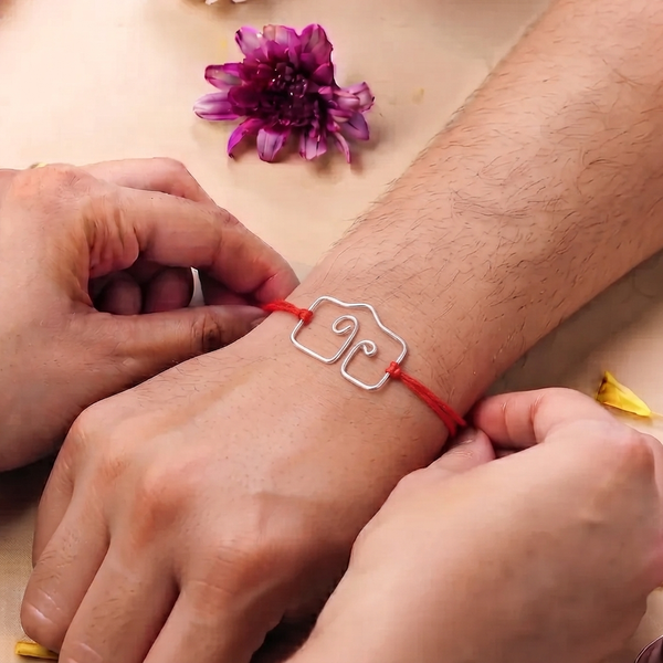 Silver Wire Bent Rakhi (Project Handmade)