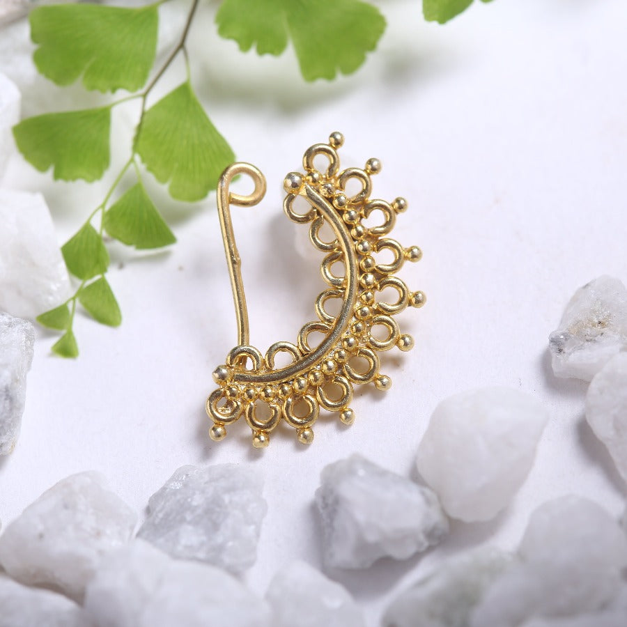 a close up of a brooch with a leaf in the background