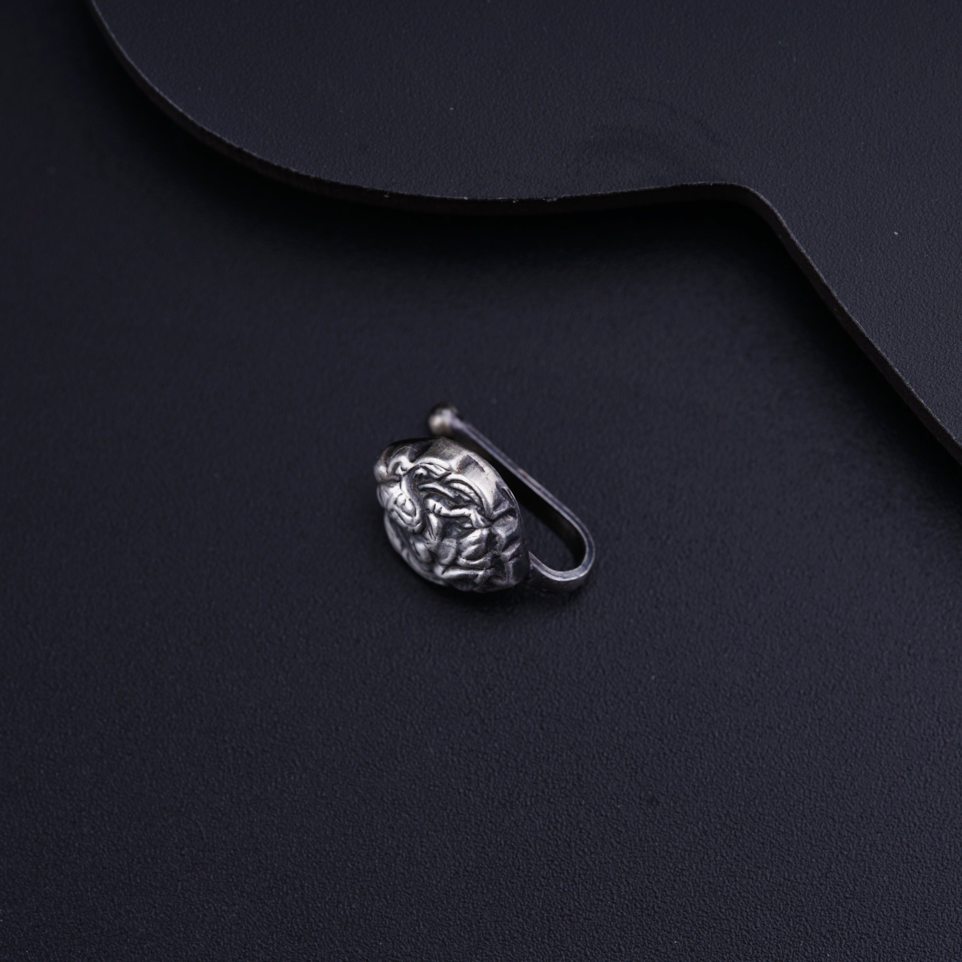 a metal hook with a lion head on it