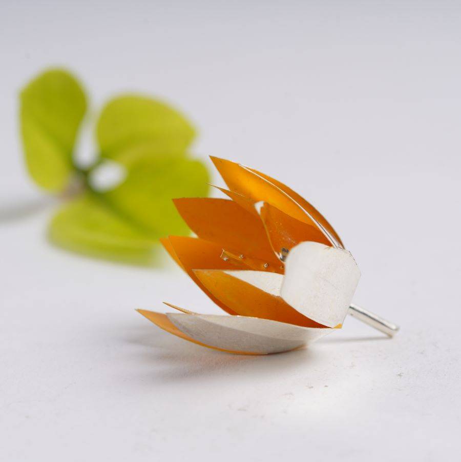 a close up of a flower on a white surface