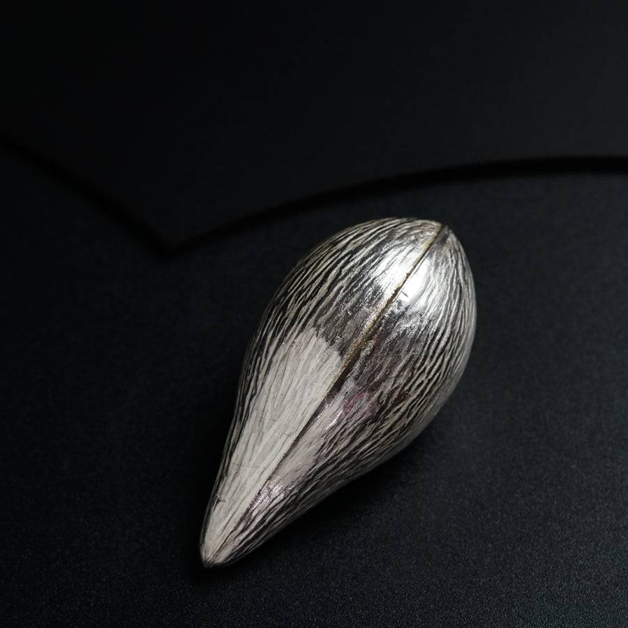 a close up of a shell on a black surface