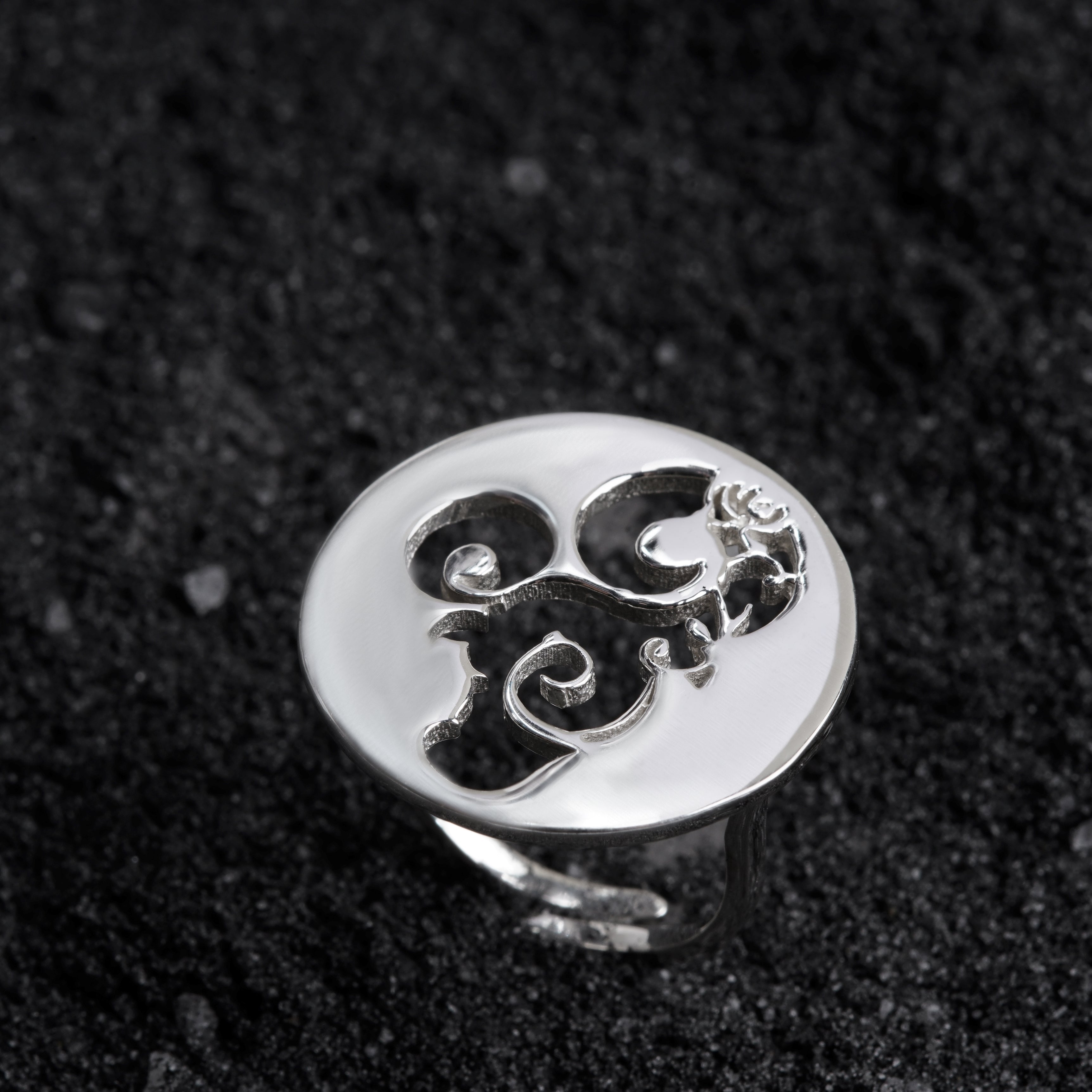 a black and white photo of a ring