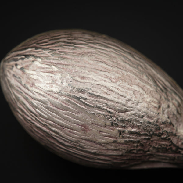 a close up of a nut shell on a black background