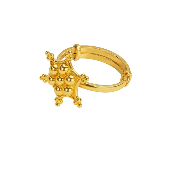Silver Kudi Nakshatra Ring|  92.5 Silver | 22K Gold Plated