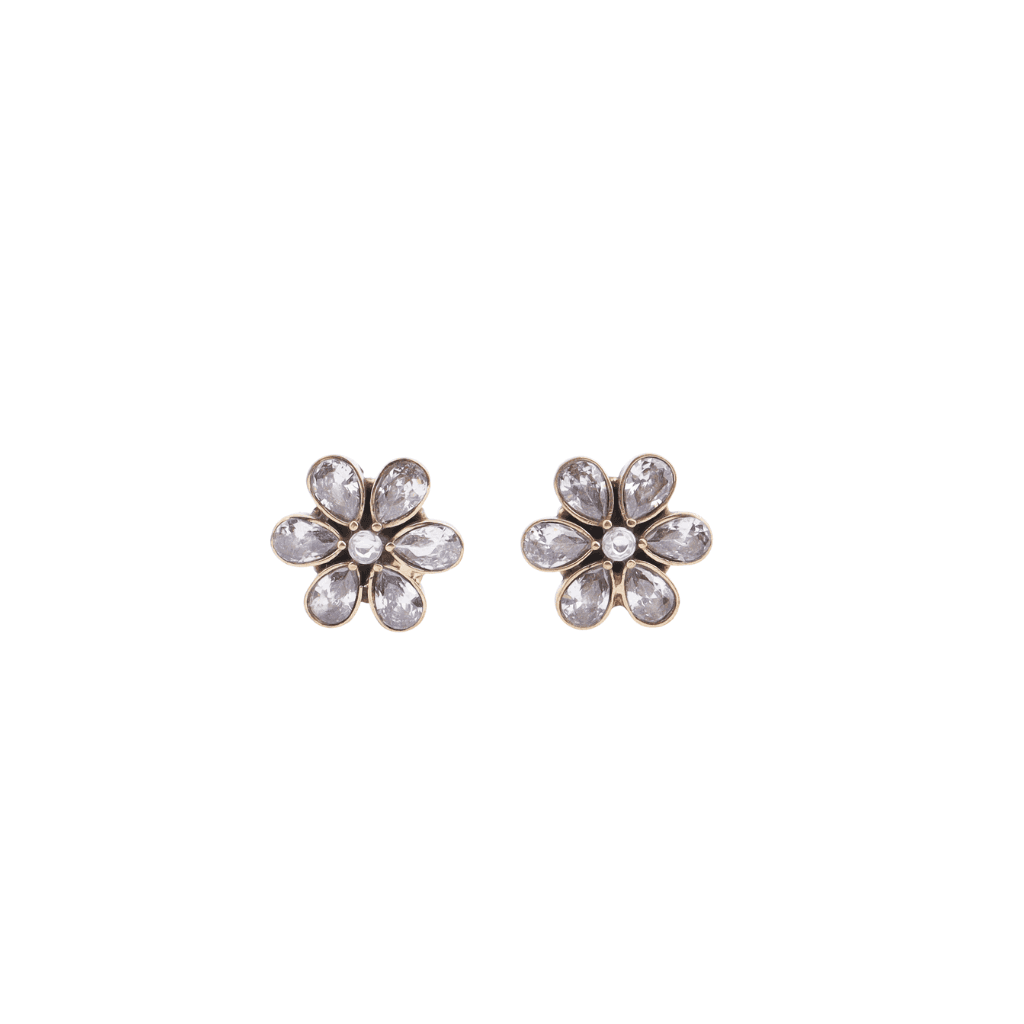 Brass Fashion Earrings