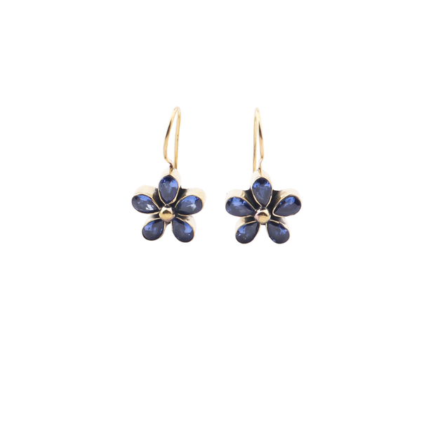 Brass Fashion Earrings