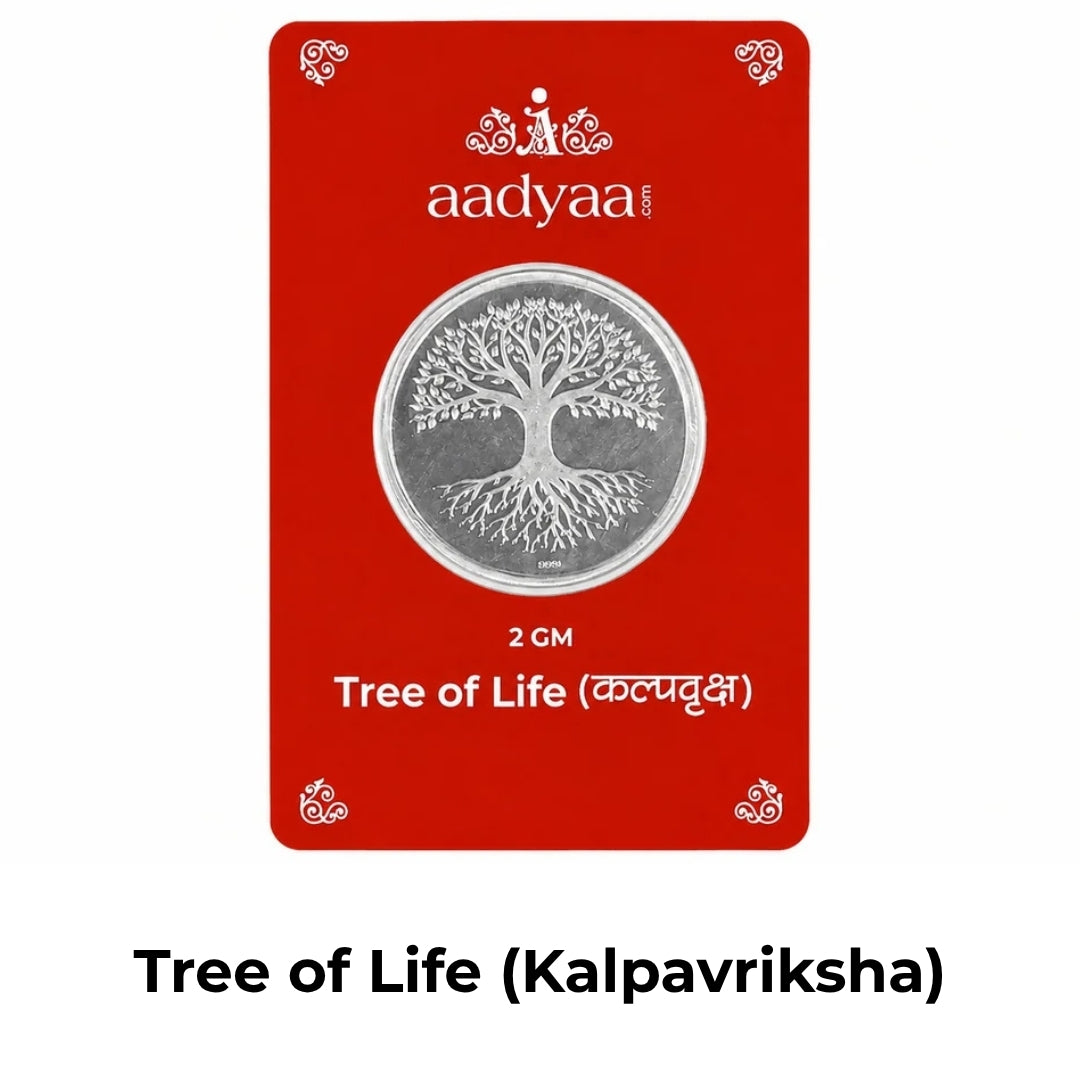 House of Aadyaa