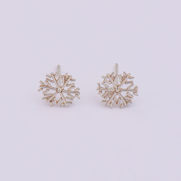 Sliver Snowflake Earrings
