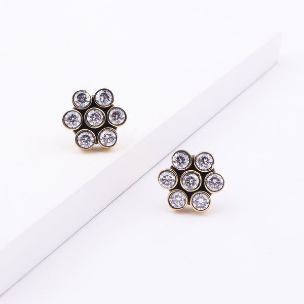 Brass Fashion Earrings