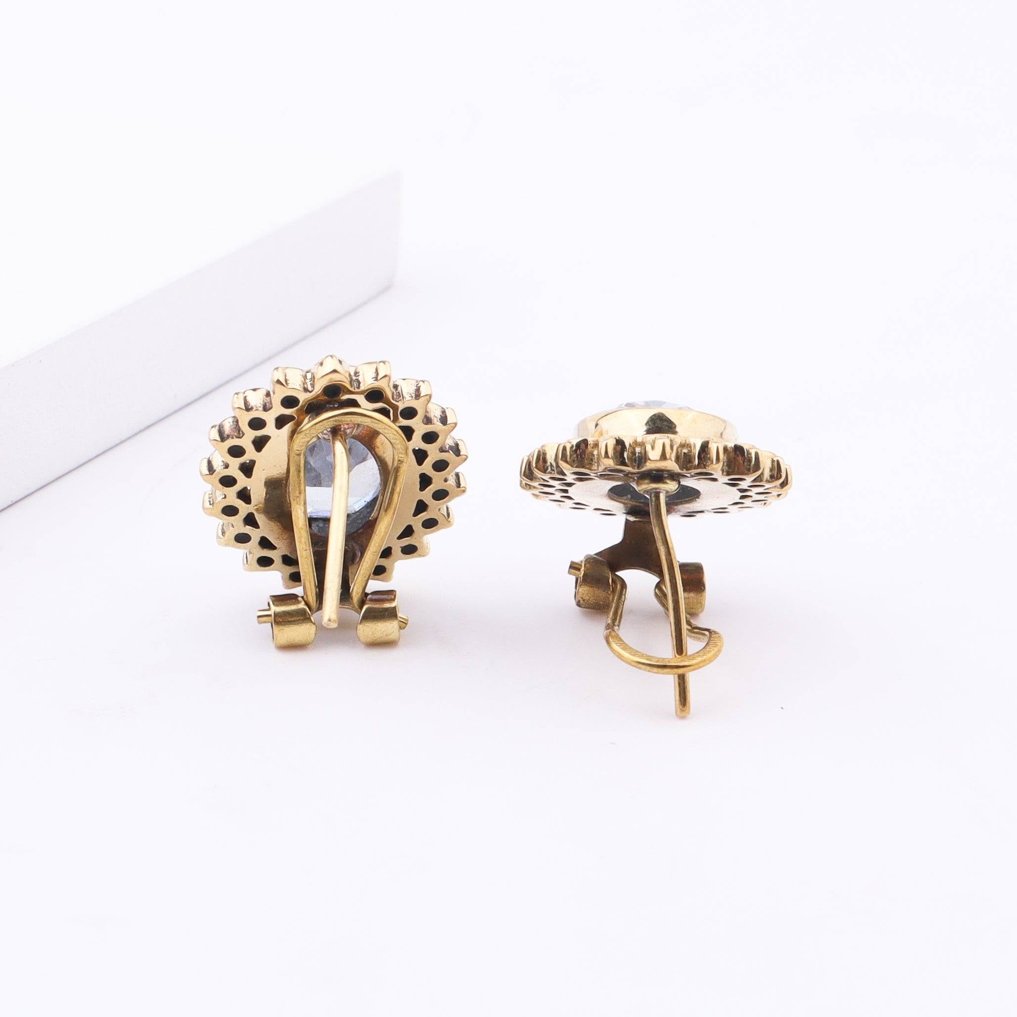 Brass Fashion Earrings