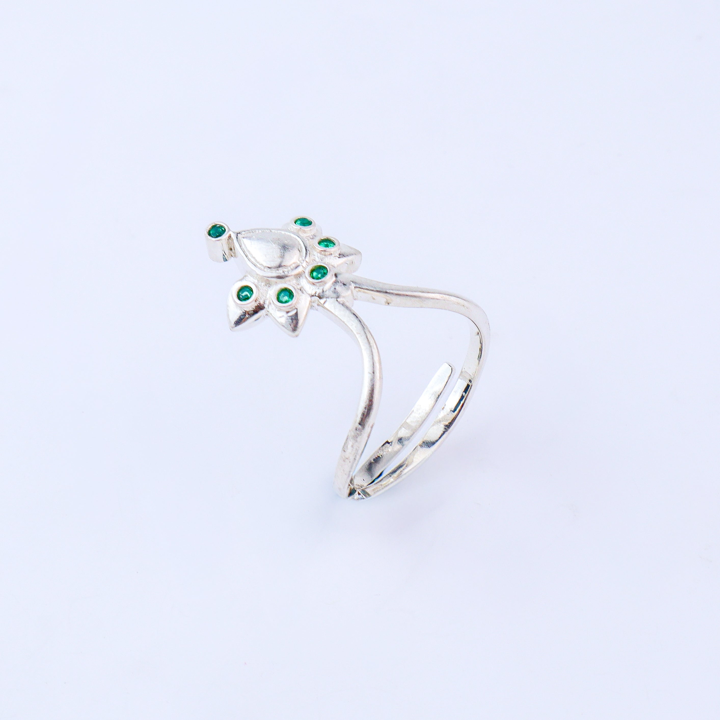 Silver Nakshatra Ring