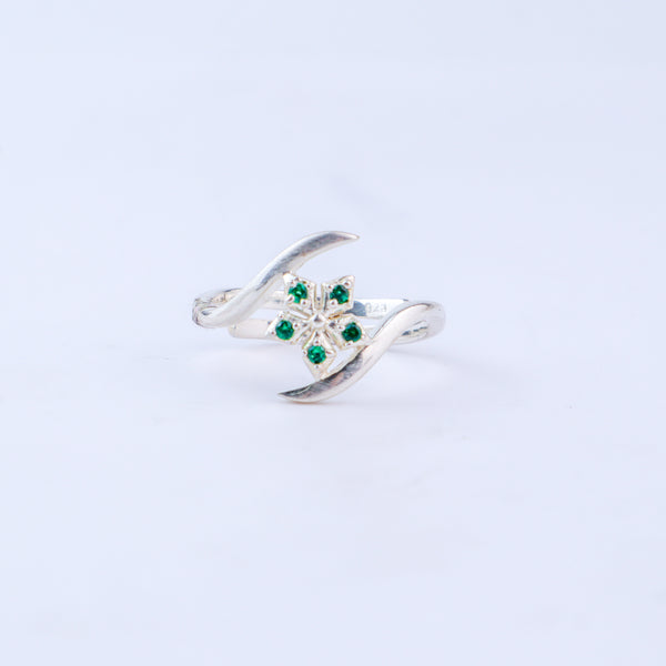 Silver Nakshatra Ring
