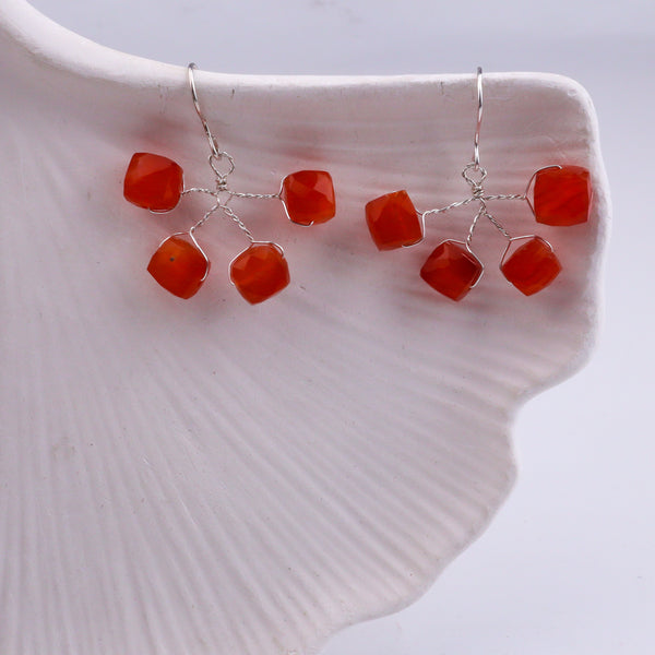 Carnelian Silver Earrings (Project Handmade)