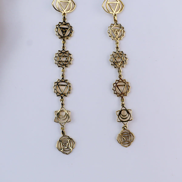 Brass Fashion Earrings