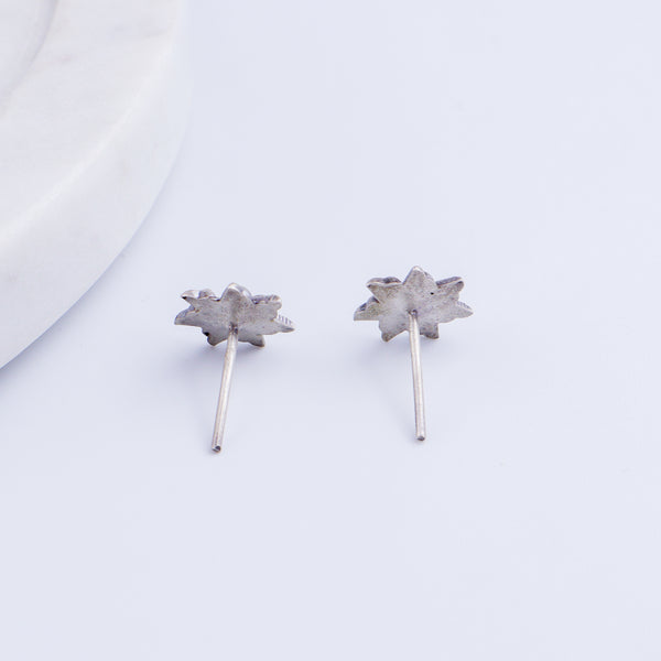 Prajakta Studs